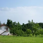 Leni