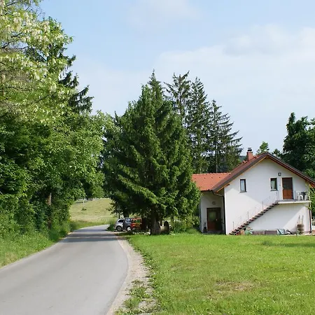 Apartment Leni Postojna