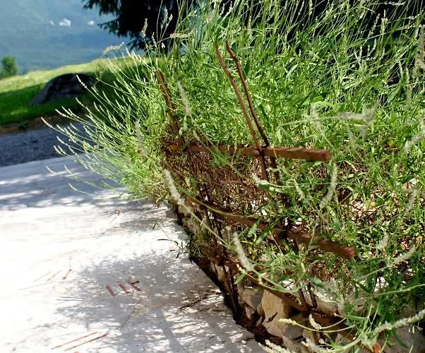 Leni Appartamento Postumia