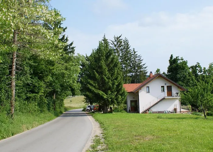 Apartament Leni Postojna